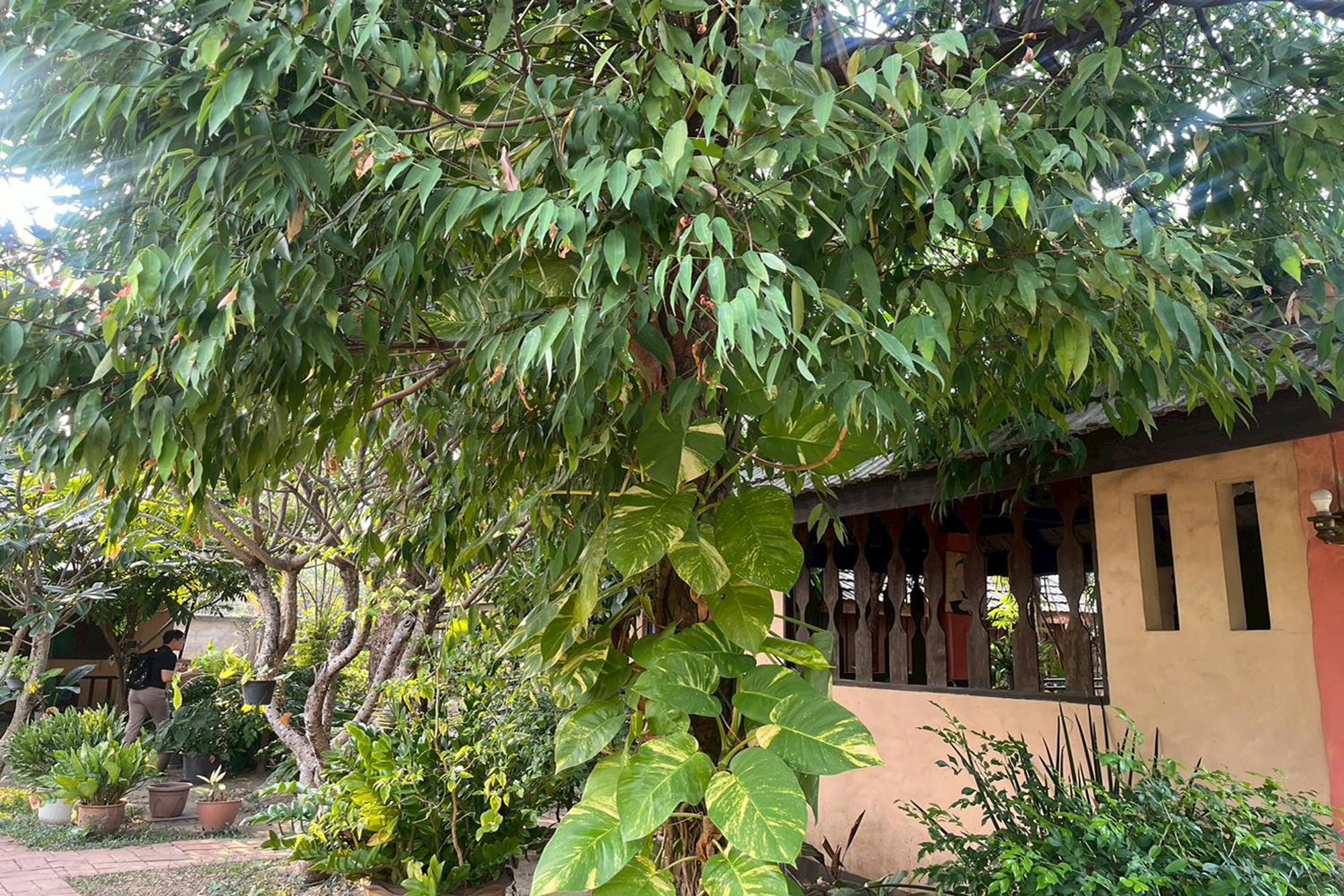 The Royal Shilton Resort Chiang Mai Luaran gambar